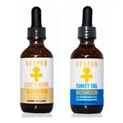 The Gut-Brain Axis Bundle - Lions Mane and Turkey Tail Mushroom Extract